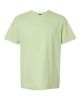 Picture of 64000 - Unisex Softstyle® T-Shirt