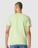 Picture of 64000 - Unisex Softstyle® T-Shirt