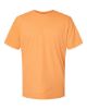 Picture of 64000CVC - Unisex Softstyle® CVC T-Shirt