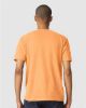 Picture of 64000CVC - Unisex Softstyle® CVC T-Shirt