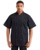 Picture of RP664 - Unisex Ten Studded Front Short Sleeve Chef Coat